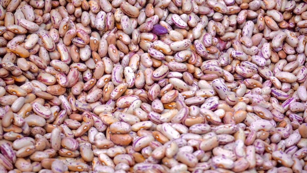 "Close-up view of raw rajma (kidney beans) spread on a surface, showcasing their reddish-brown texture and kidney shape."